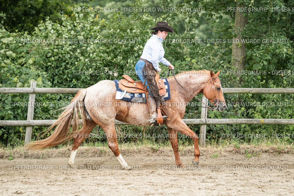 DSC04518 | Pferdegrafie