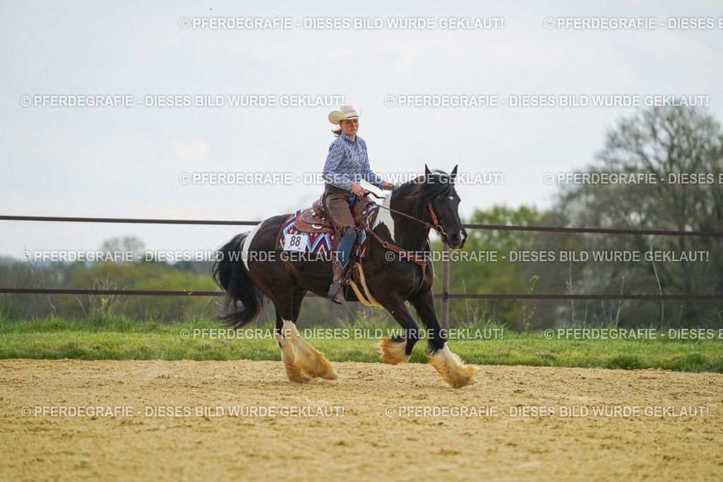 DSC08036 | Pferdegrafie