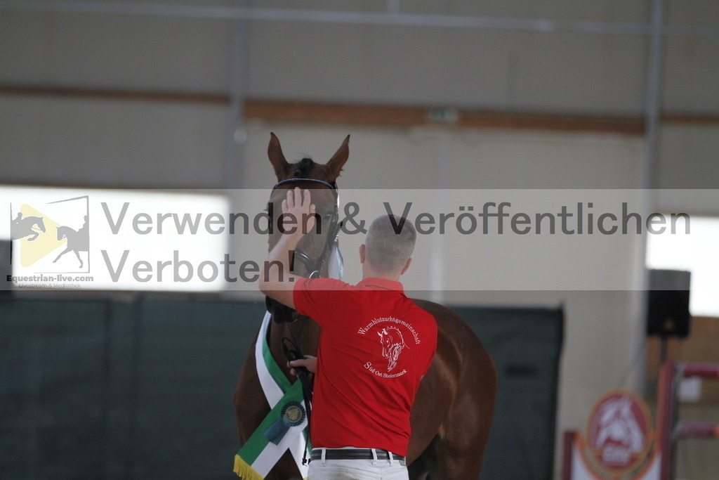 _MG_0744 | equestrian-live-com