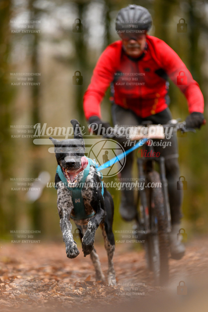 MompixPhotography_Habay2024_SA_Bike-9 | mompixphotography