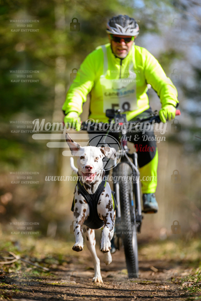 MompixPhotography_ReiatRennen2024_Bike1H-90 | PayLife
