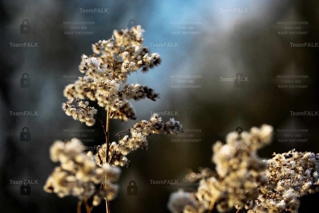 Route | Forma et Fluctus Lumen Dualitatis - Realisiert mit Pictrs.com