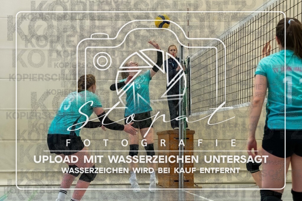 TVJ-1076 | Volleyball Doppelspieltag der 2. Damenmannschaft des TV Jahn Walsrode in der Bezirksklasse 4 Bremen/Lüneburg gegen SG Örtzetal II &amp; SVG Lüneburg VII  in der Sporthalle Gymnasium Walsrode, Walsrode (Simon Paul Stopat) - Realisiert mit Pictrs.com