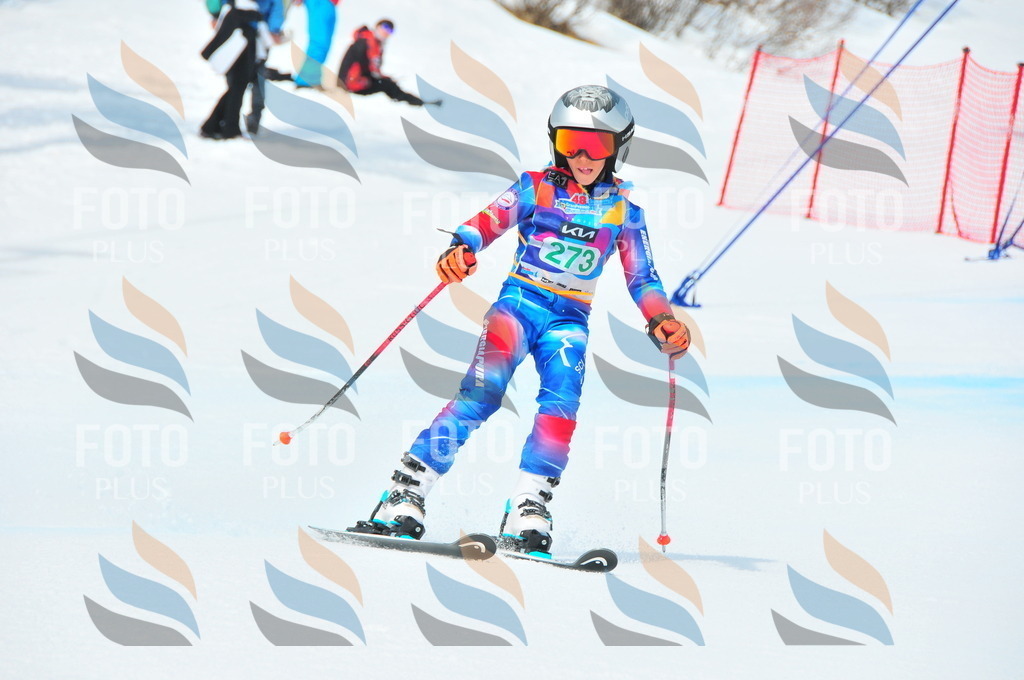 DSC_2542 | holidayphoto