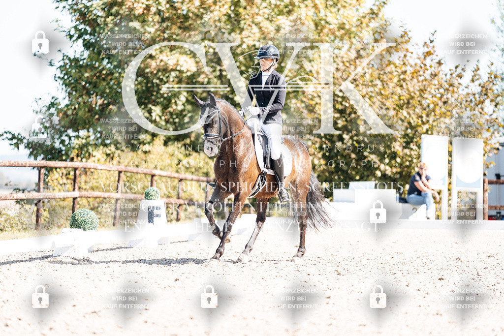 CK909481 | Turnierfotografie Pferdefotografie Trier Rheinland-Pfalz Pferdesport Reitsport Tierfotografie Sportfotografie Pferdevideo Pferdevideografie Equestrianvideography equestrianphotography  - Realisiert mit Pictrs.com