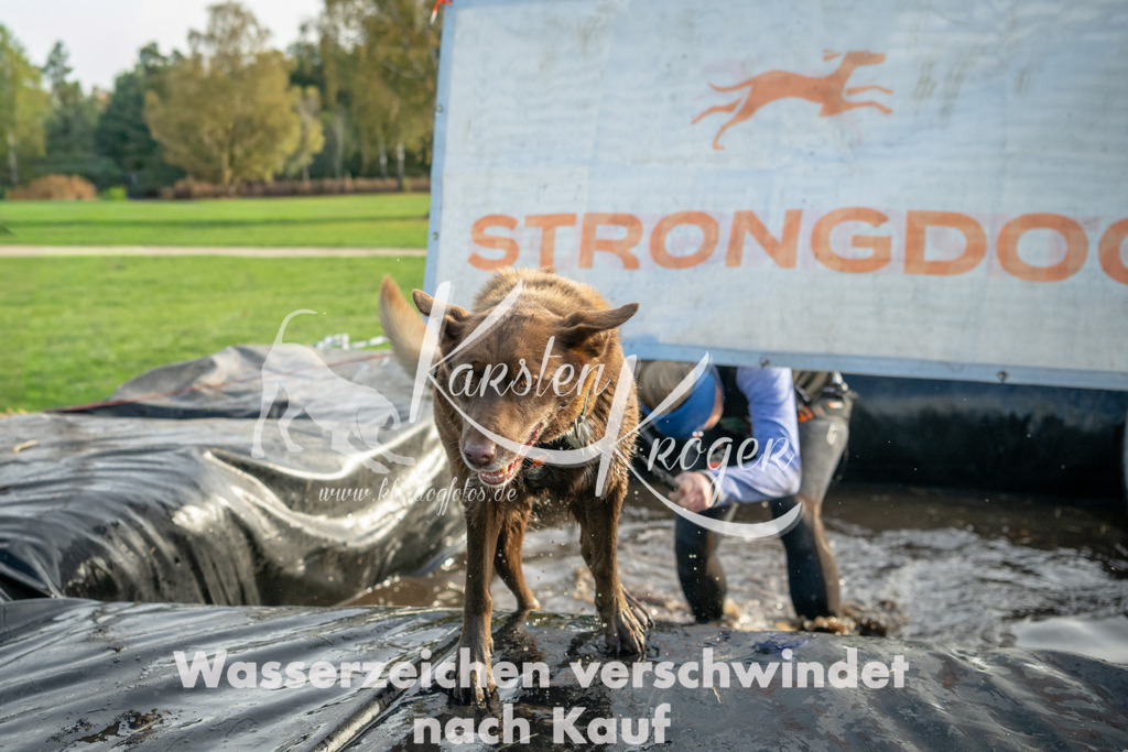 1028_ZZ90155 | kk-dogfotos