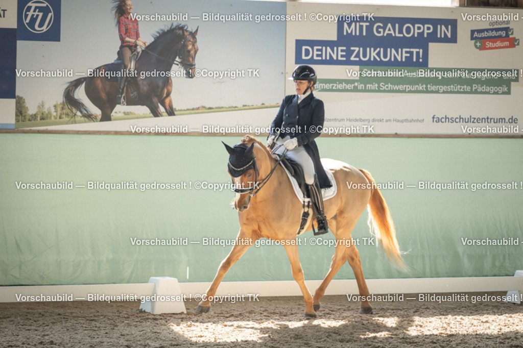 _D5A2367 | Emotionale Pferde- & People-Fotografie rund um Heidelberg, Leimen & Umgebung. Natürliche Fotos von Pferd, Mensch & Familie. Jetzt Termin sichern!