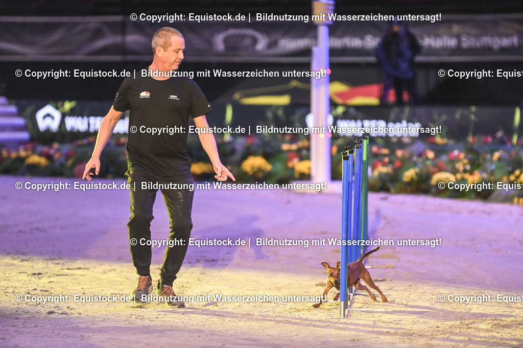 20231115_Dog-Agility_0048_TOMsPiC | Foto: Thomas Hartig