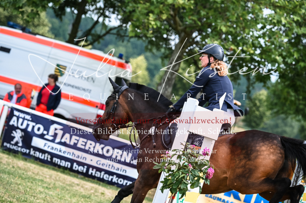 DSC_8261 | Pferde- und Turnierfotografie in Westsachsen. Pferdeportraits, Auftragszeichnungen und intuitive Kunst.