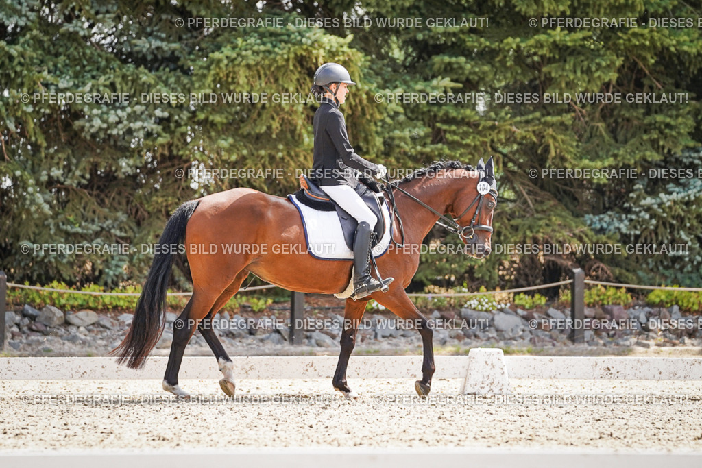 DSC08859 | Pferdegrafie