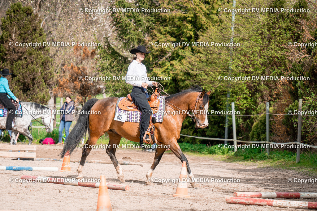 BAL02690 | dv-media-shop - Realisiert mit Pictrs.com