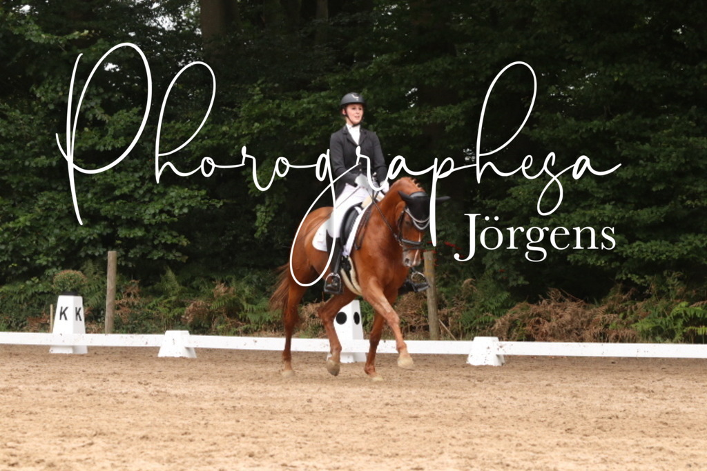 IMG_0017 | photographesa-joergens - Realisiert mit Pictrs.com