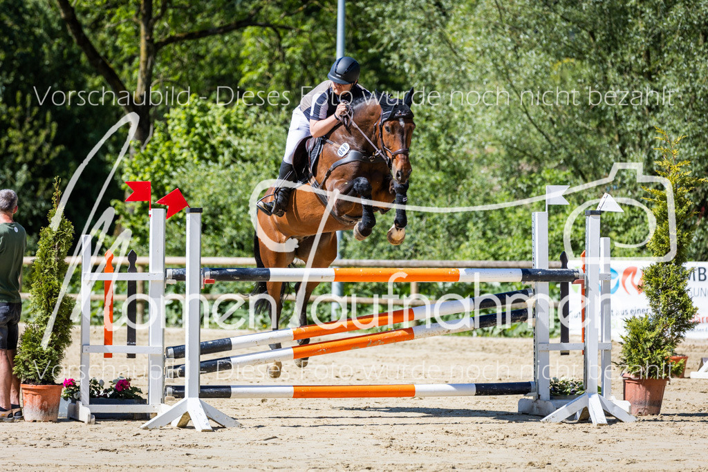 Donop24-M-Spr-027 | MomenTaufnahmen Pferdesportfotos