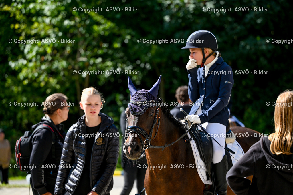 ASVÖ_ Reiten Bezirksmeisterschaft_ 24.08.2025-6 | 24.08.2025, AUT, ASVÖ, Reiten Bezirksmeisterschaft 2025Dressur und Springreiten©fodo.media / Harald Dostal - Realisiert mit Pictrs.com