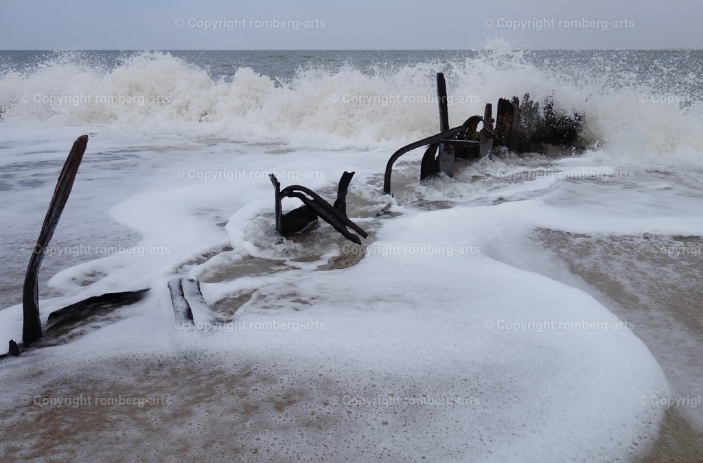 DSC00760 | romberg-arts, romberg-arts.de, www.romberg-arts.de, Foto_Online_Shop, Julia Fuhrmann, Köln, Fotos, Fotografie, Fotokunst, Kunstdrucke, Naturfotos, Aktfotos, Nacktfotos, schwarz_weiß_Fotos, Blumenfotos, Blumen, Tiere, Beton, Korrosion, Lächeln, Drucke