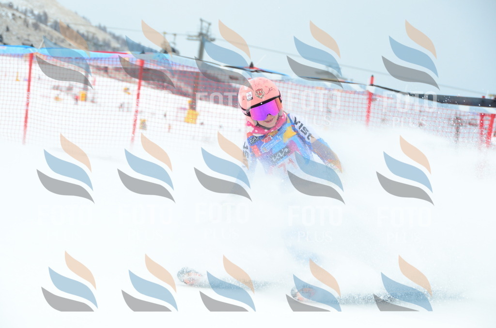 DSC_1072 | holidayphoto