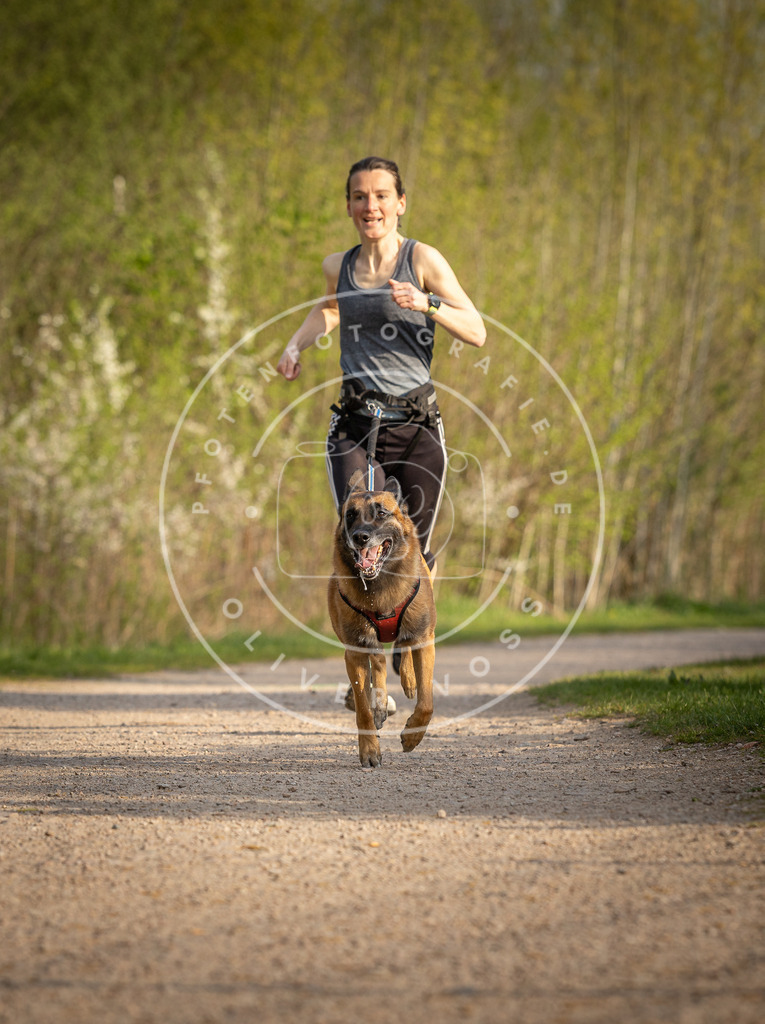 Pfotenfotografie_DV3A4564 | Hundefotografie, Tierfotograf, Pfotenfotografie, Fotoshooting Hund, Hunde Portrait, Hundesport, Hundeportraits, Heideshooting, Hunde, Sportfotograf, Hundefotograf, Turnierhundsport, THS,  - Realisiert mit Pictrs.com