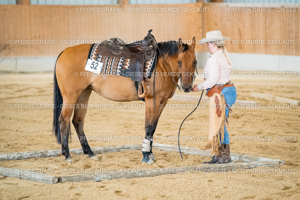 DSC07313 | Pferdegrafie