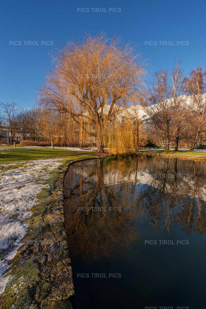 DSC_7672-Bearbeitet | Tirolpics