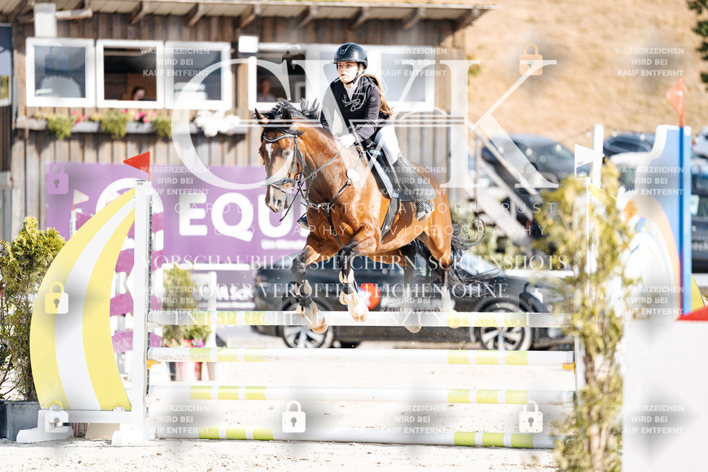 CK909222 | Turnierfotografie Pferdefotografie Trier Rheinland-Pfalz Pferdesport Reitsport Tierfotografie Sportfotografie Pferdevideo Pferdevideografie Equestrianvideography equestrianphotography  - Realisiert mit Pictrs.com