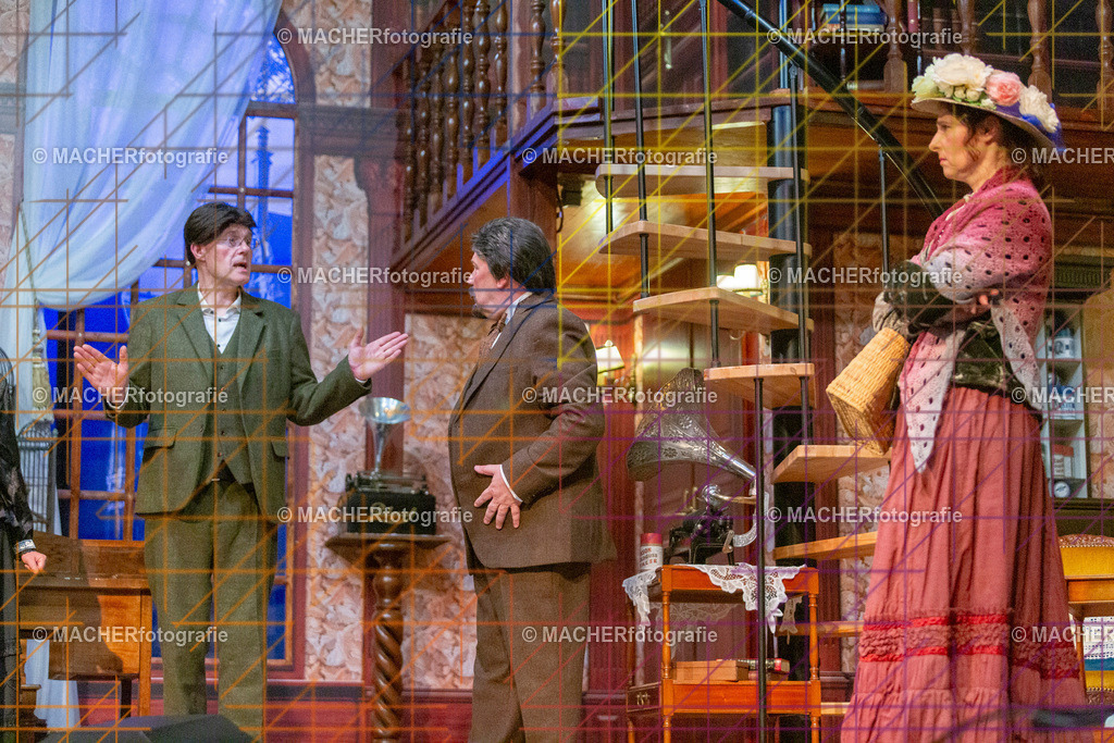 132_MFL-2025 | Portraitbilder von Regisseur; Darsteller; Techniker; Maske; Kostüme; Chor; Musiker; Bilderserie der Generalprobe und der Premierenvorstellung, Szenenbilder; Ausdrucksstudien; Bühnenüberblick; Bühnenkulissen; Pressefotos inkl. Redaktionsfoto Darstellergruppe.