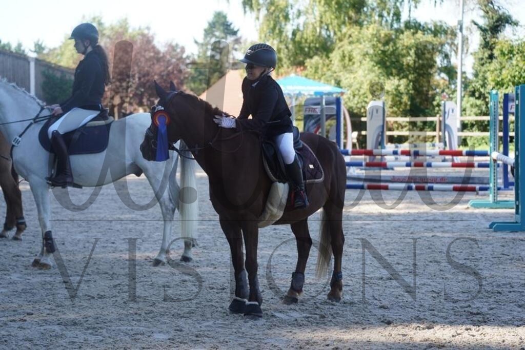 tgbhsonntag (133) | d.tail Visions - Shop - Realisiert mit Pictrs.com