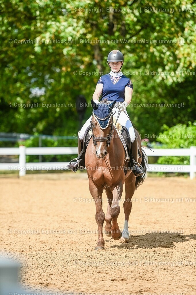 20230716_01_Dressurprüfung Kl.M_0356 | equistock