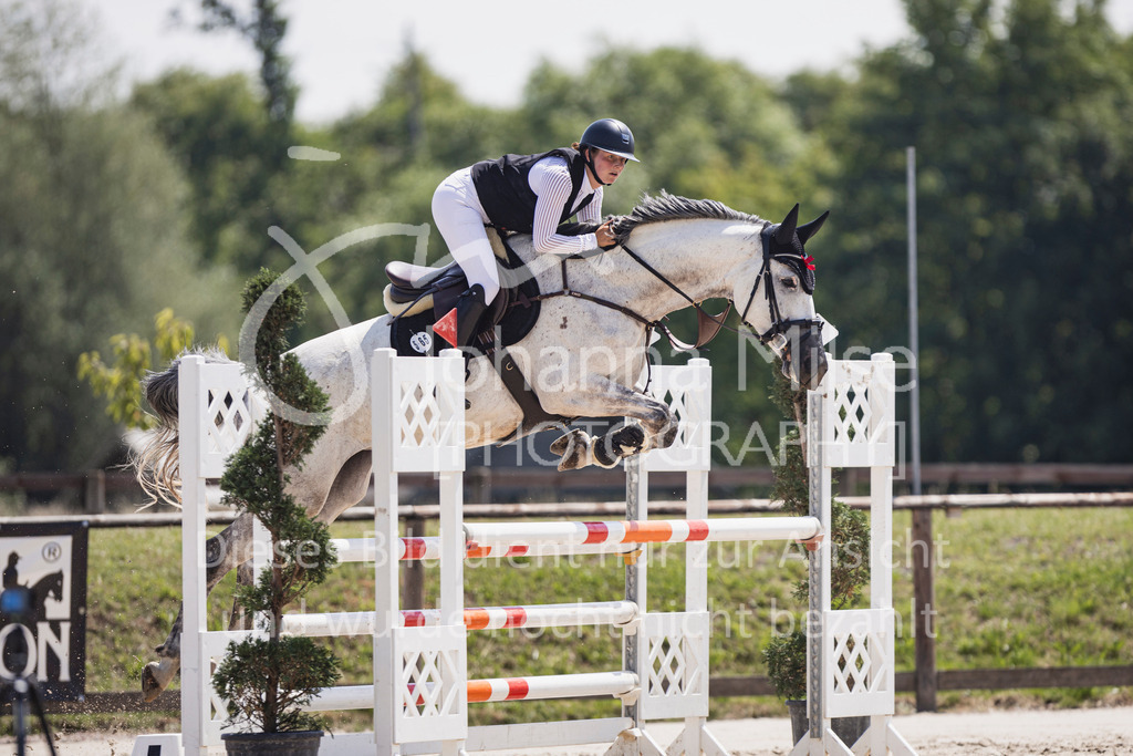 250629_PfSpTa_L-Spr-1-422 | Deine schönsten Turniermomente als professionelle Fotos! Entdecke hochwertige Pferdesport-Fotografie im Online-Shop. Jetzt Fotos finden & bestellen!