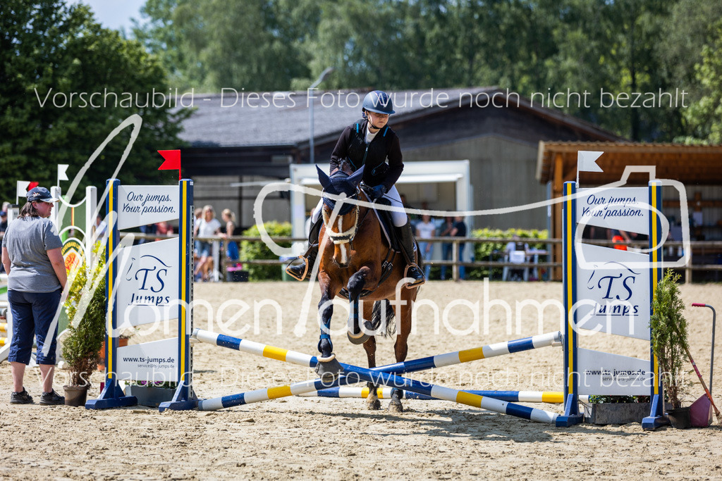 Donop24-SprRW-025 | MomenTaufnahmen Pferdesportfotos