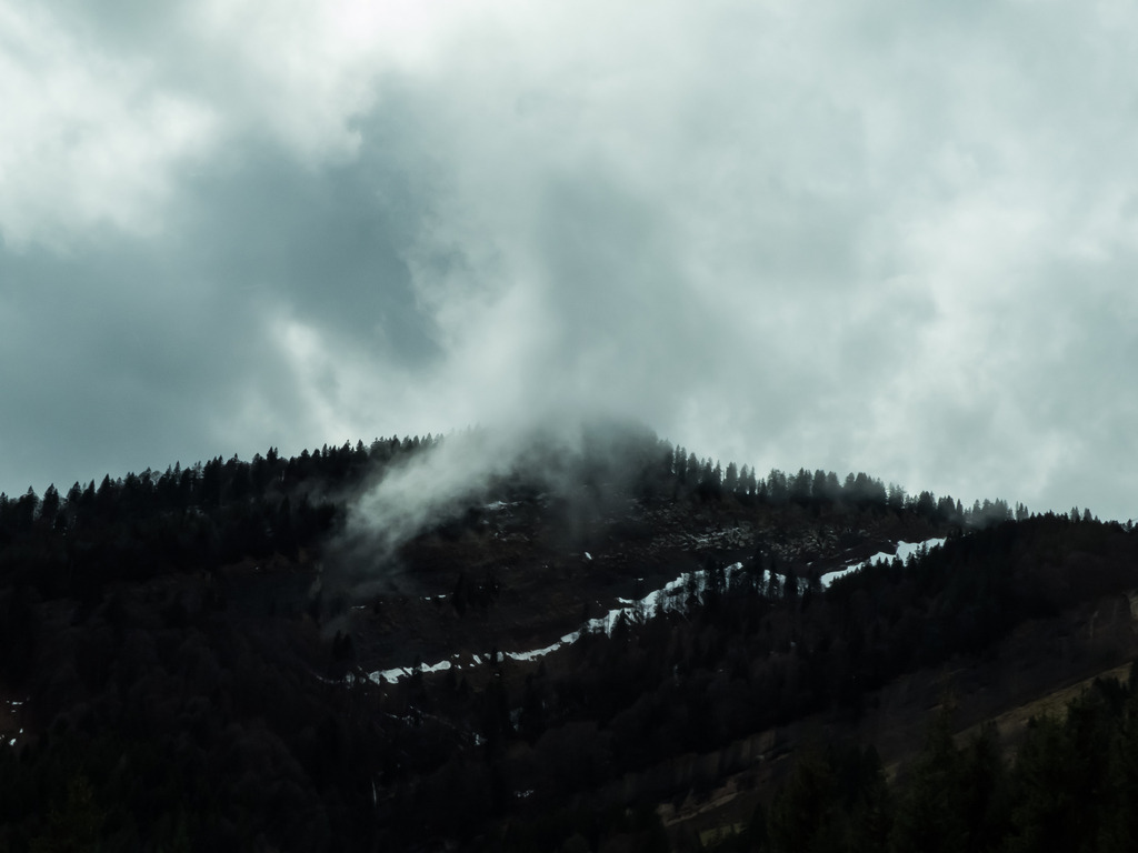 PSX_20230401_233925 | mtkfoto_ - Realisiert mit Pictrs.com