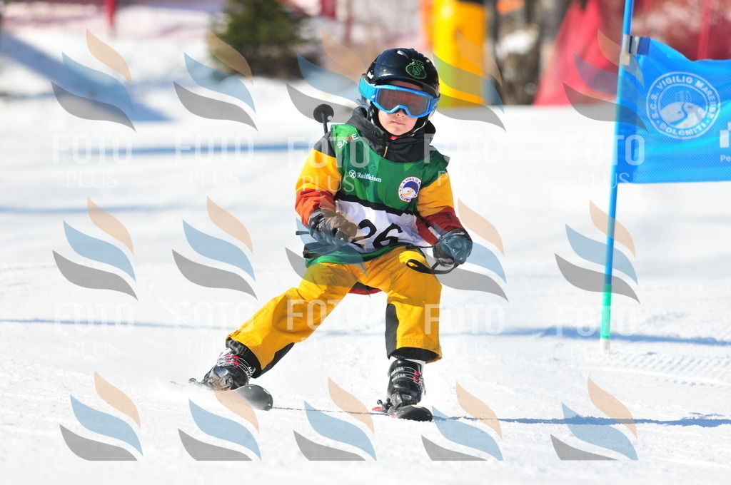 C2590 | holidayphoto