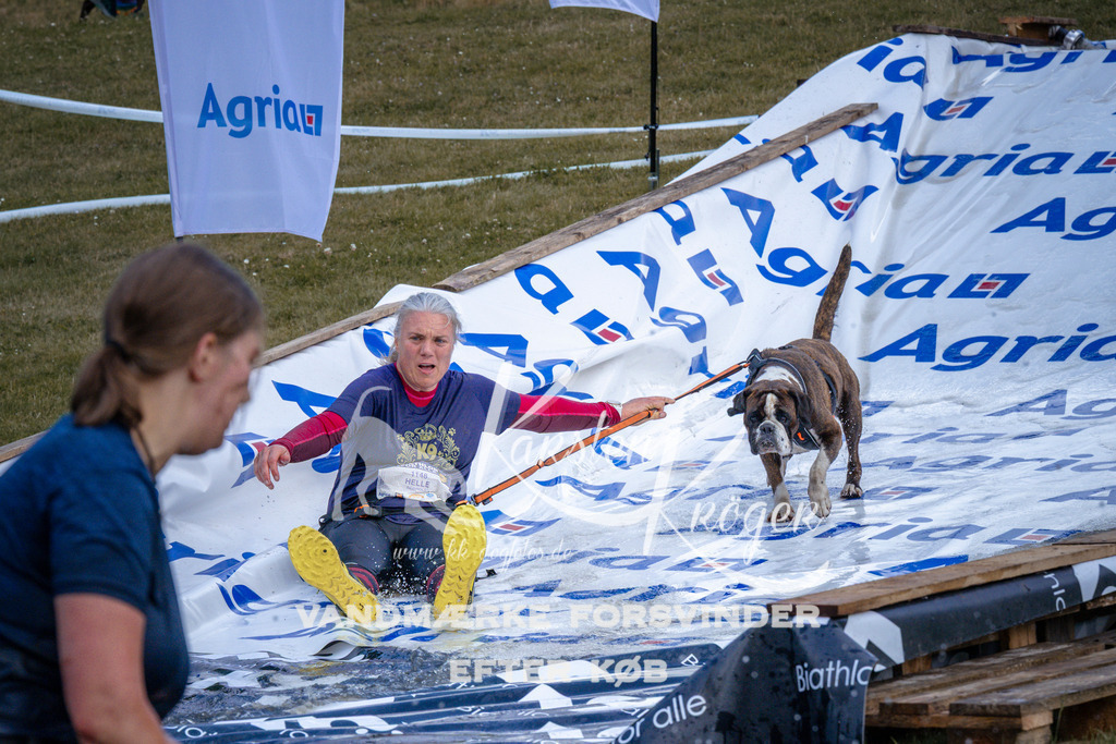 _ZZ920750922 | kk-dogfotos