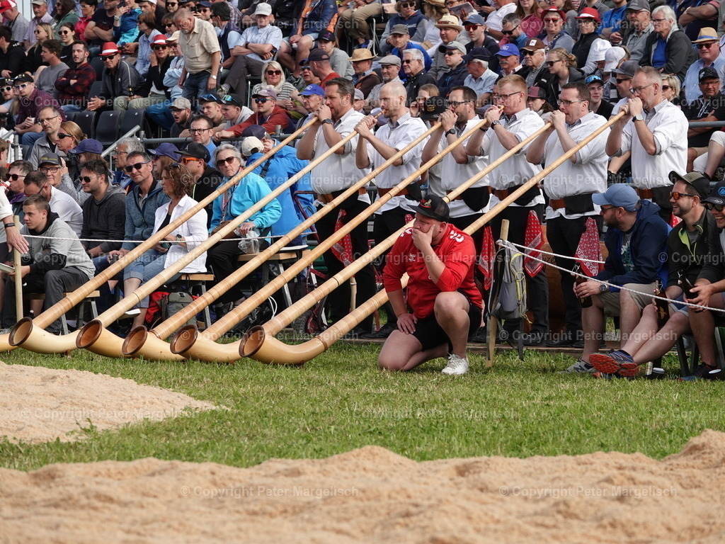 DSC06668 | Schwingen - Realisiert mit Pictrs.com