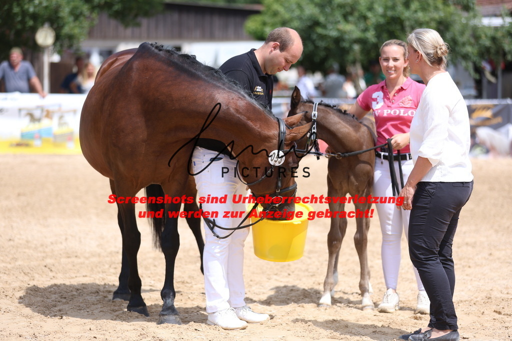 Fohlenschau_Schwäbisch_Hall_dressurbetonte_Fohlen_RESERVE SIEGER_KN 15_12 | lmwpictures - Realisiert mit Pictrs.com