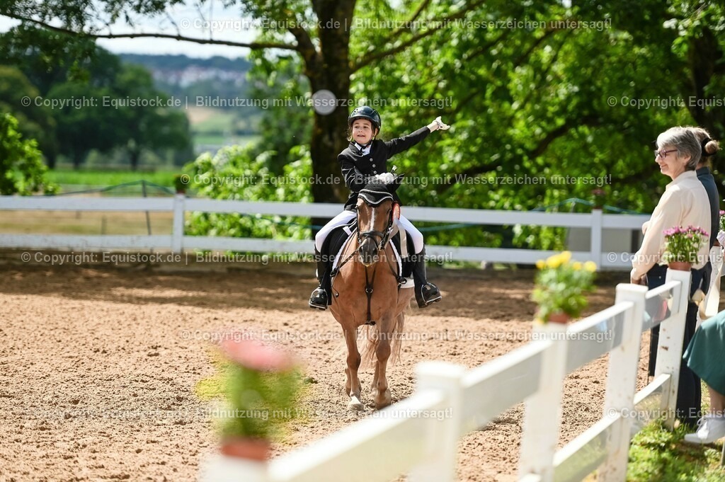 20230716_10-3_Reiter-WB Schritt - Trab - Galopp_0266 | equistock
