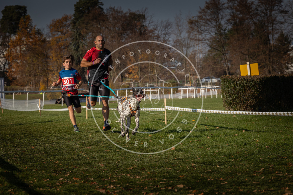 CaniXpix_0L8A8224 | Hundefotografie, Tierfotograf, Pfotenfotografie, Fotoshooting Hund, Hunde Portrait, Hundesport, Hundeportraits, Heideshooting, Hunde, Sportfotograf, Hundefotograf, Turnierhundsport, THS,  - Realisiert mit Pictrs.com