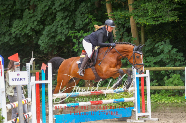 DKP45049 | Turnierfotos kaufen im Webshop von Daniel Kuhl Photography – entdecke professionelle Reitsportfotos aus Turnieren & Events. Hochwertige Turnierbilder online bestellen & sichern. Jetzt Fotos von Reitsportturnieren kaufen!