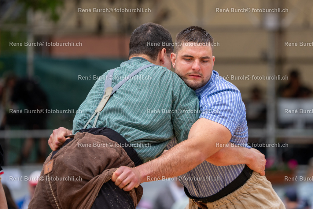 BUR02377 | René Burch leidenschaftlicher Fotograf aus Kerns in Obwalden.  Hier finden sie Sport, Landschaft und Natur Fotografie.
 - Realisiert mit Pictrs.com