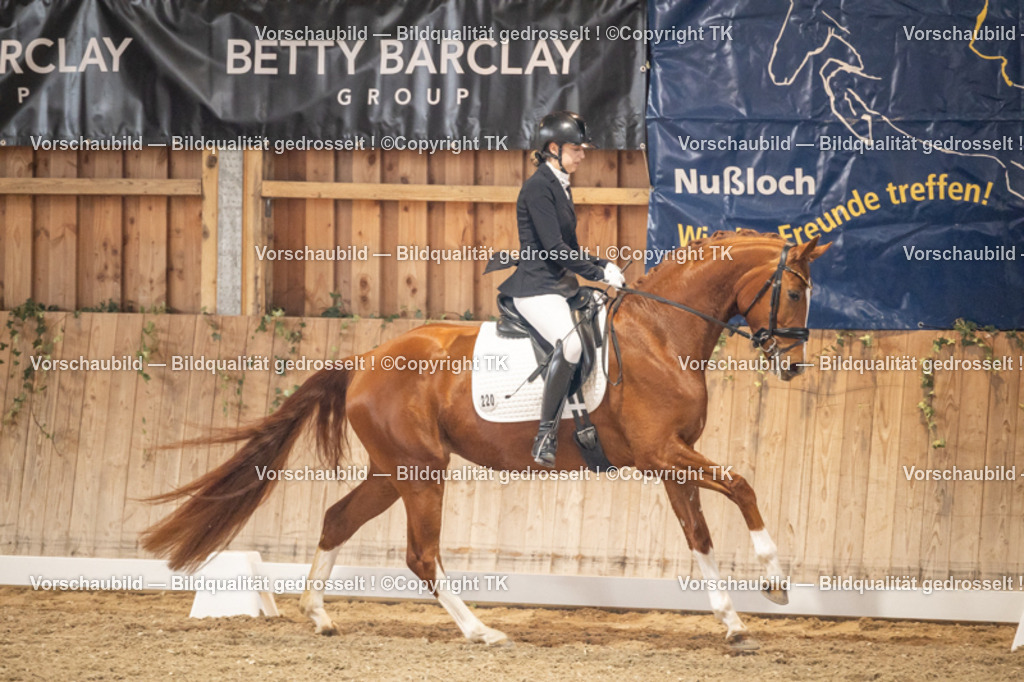 _D5A8615 | Emotionale Pferde- & People-Fotografie rund um Heidelberg, Leimen & Umgebung. Natürliche Fotos von Pferd, Mensch & Familie. Jetzt Termin sichern!