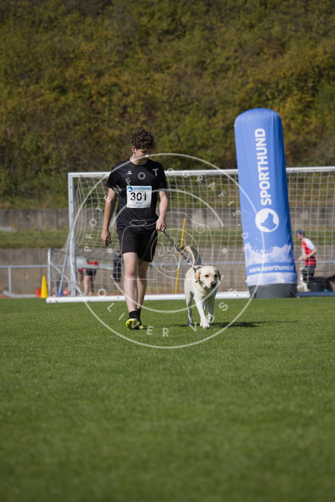 0L8A7452 | Hundefotografie, Tierfotograf, Pfotenfotografie, Fotoshooting Hund, Hunde Portrait, Hundesport, Hundeportraits, Heideshooting, Hunde, Sportfotograf, Hundefotograf, Turnierhundsport, THS,  - Realisiert mit Pictrs.com