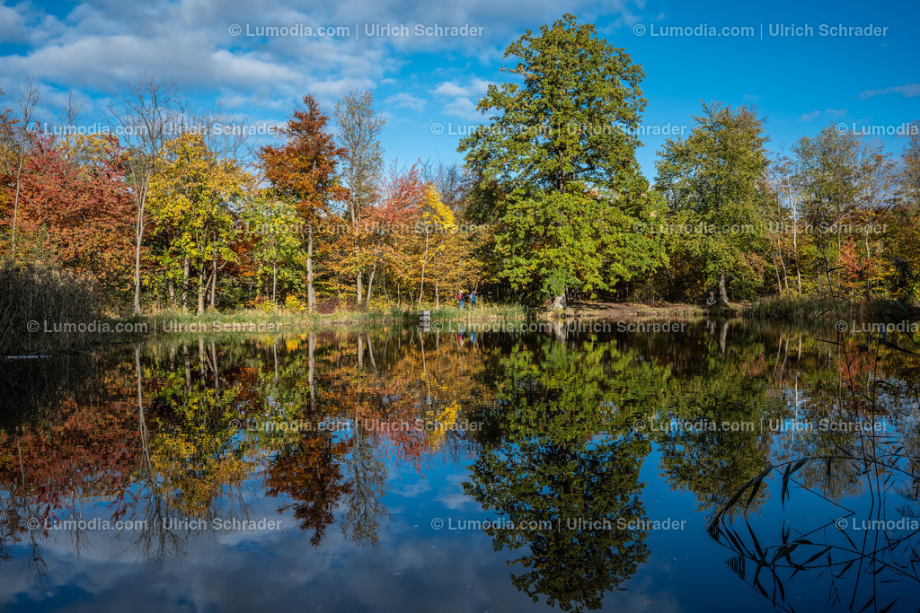 10049-12608 - Schloßpark Ilsenburg im Harz | Stockfoto und Bilderpool mit Bildmaterial aus Deutschland, dem Harz, Halberstadt, Quedlinburg, Wernigerode und weltweit. Qualitativ hochwertige und professionelle Fotos anschauen und kaufen. - Realisiert mit Pictrs.com
