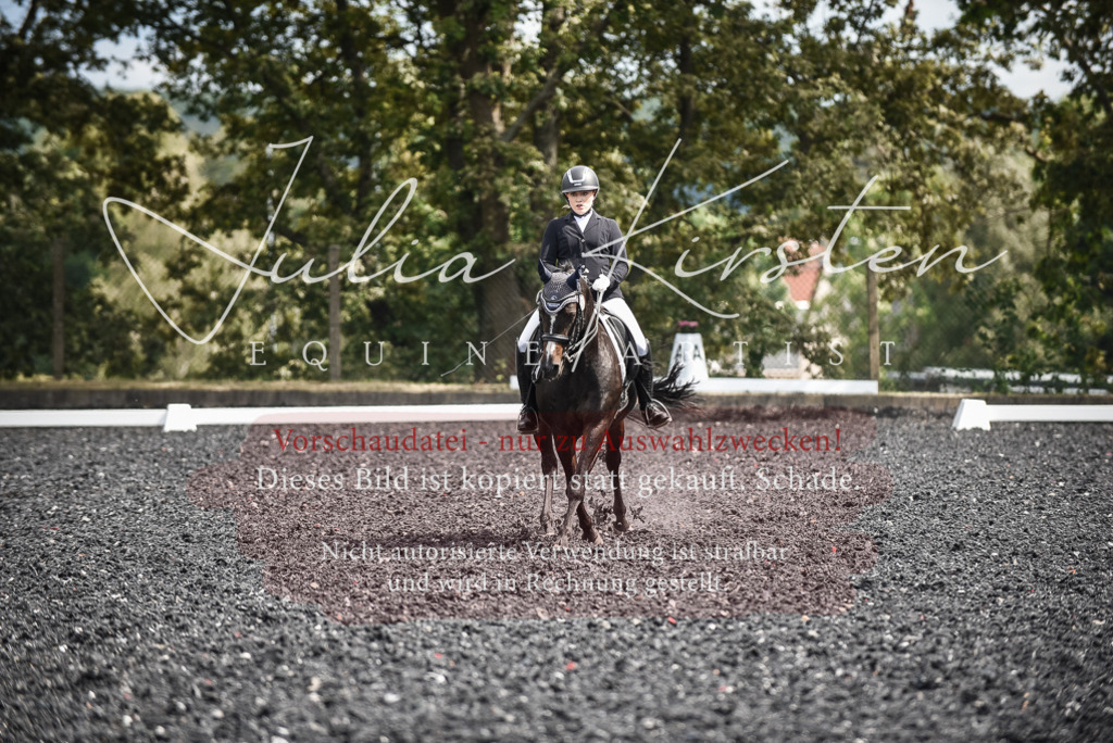 DSC_5095 | Pferde- und Turnierfotografie in Westsachsen. Pferdeportraits, Auftragszeichnungen und intuitive Kunst.