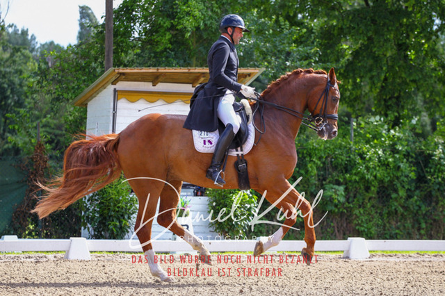 DKP41329 | Turnierfotos kaufen im Webshop von Daniel Kuhl Photography – entdecke professionelle Reitsportfotos aus Turnieren & Events. Hochwertige Turnierbilder online bestellen & sichern. Jetzt Fotos von Reitsportturnieren kaufen!