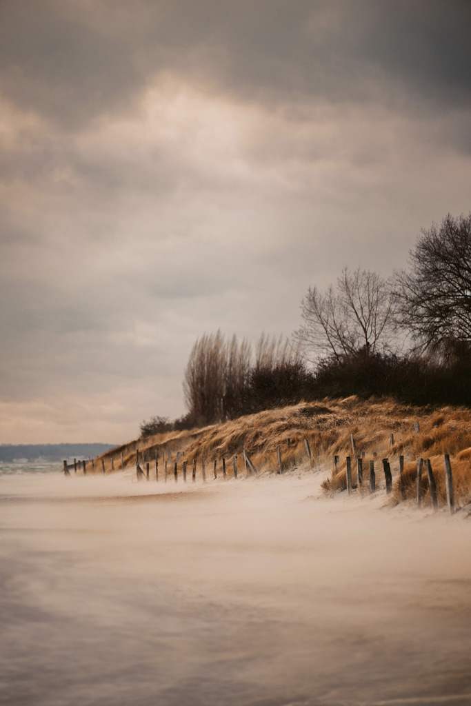 Pelzerhaken | Du suchst natürliche und atmosphärische Prints oder Leinwanddrucke? In diesem Shop gibt es alles, nur kein Mainstream. - Realisiert mit Pictrs.com