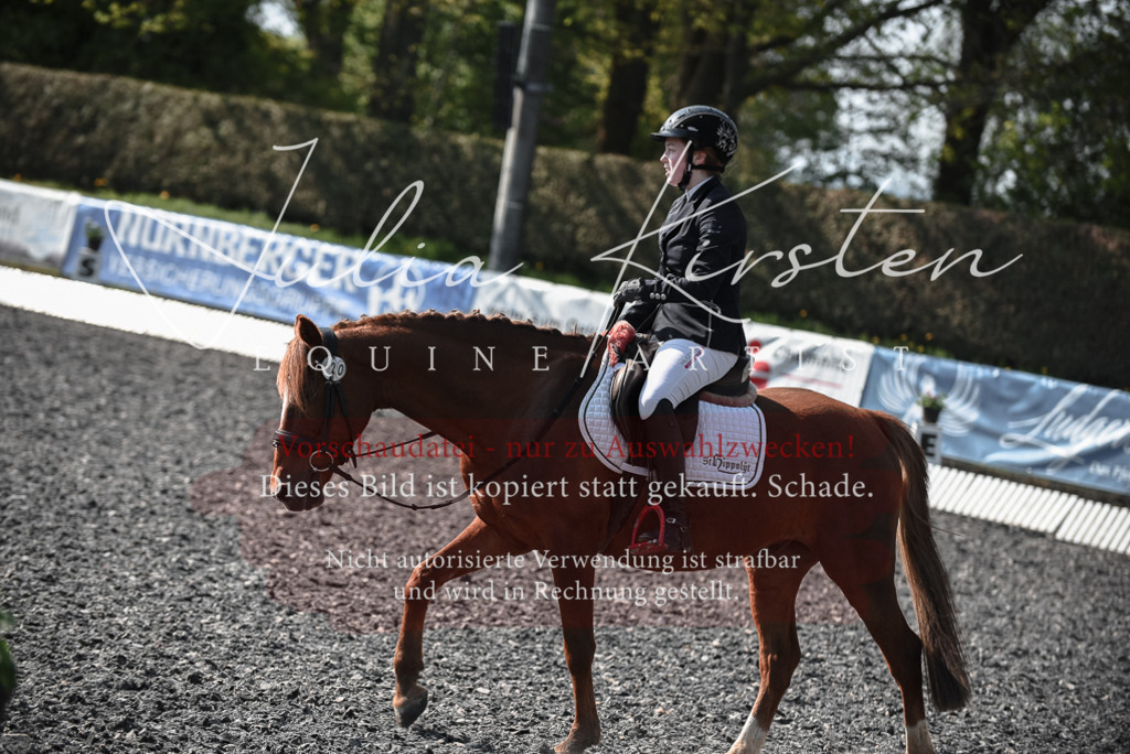 20230513_JK-Röhrsdorf-14-053 | Pferde- und Turnierfotografie in Westsachsen. Pferdeportraits, Auftragszeichnungen und intuitive Kunst.