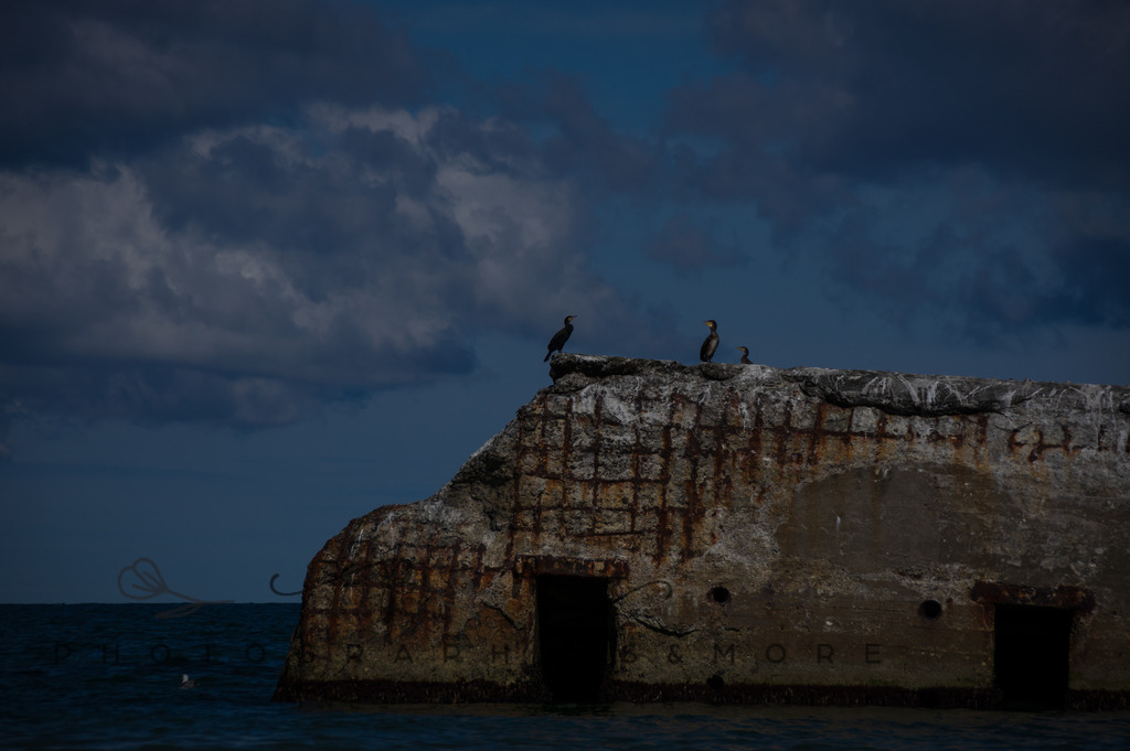 _Sommer2022-0535 | Photographies and more - Realisiert mit Pictrs.com