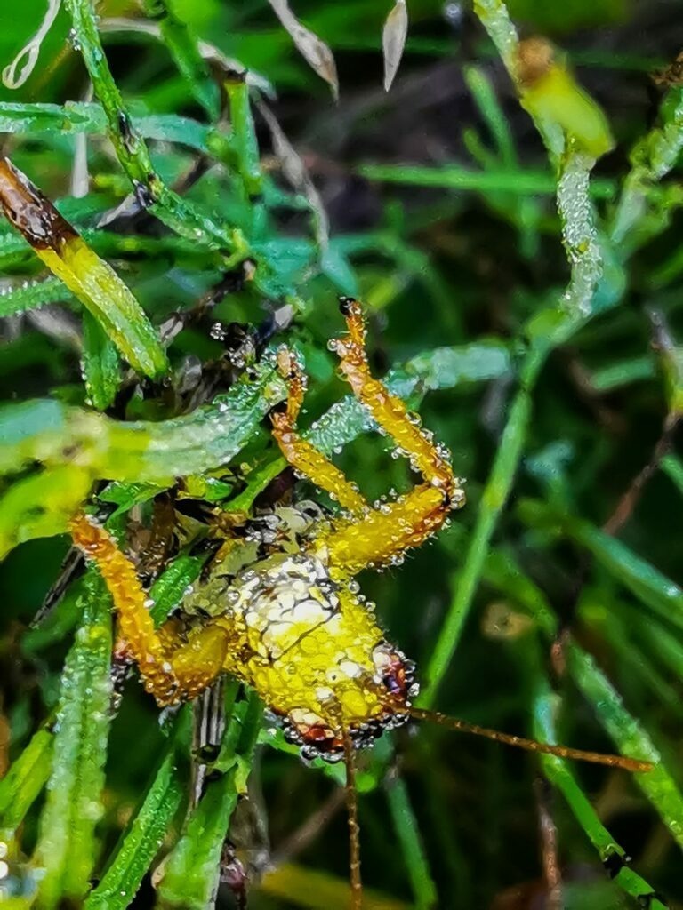 PSX_20220923_062849 | mtkfoto_ - Realisiert mit Pictrs.com