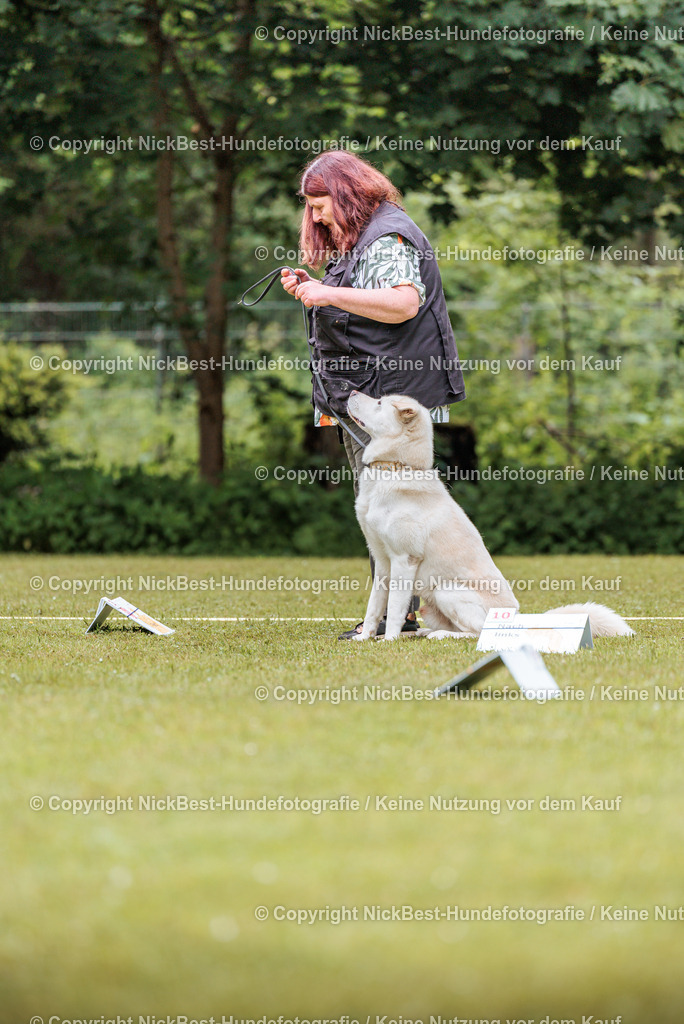 RO-Blumenthal-2026-Nickbest-Hundefotografie-5003 | Dein Hund! Dein Moment! Deine Erinnerungen! Hundefotografie in Bremen Blumenthal. Ich fange die besonderen Momente deines Vierbeiners ein – ob Indoor mit Blitzanlage oder in der freien Natur. Sicher dir dein Moment und dein Termin für eure Erinnerungen.