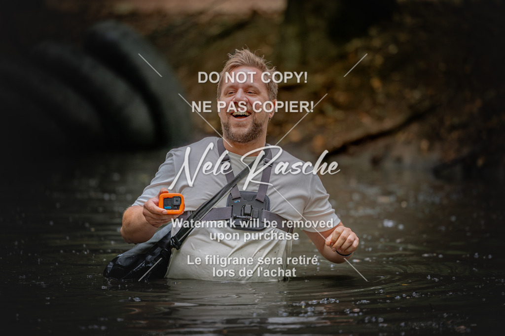 nelerasche_SaWingst1200-1230_394 | nelerasche