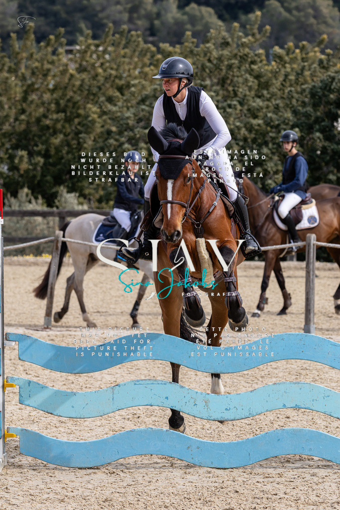 IMG_3573 | s-jay-photography - Realized with Pictrs.com